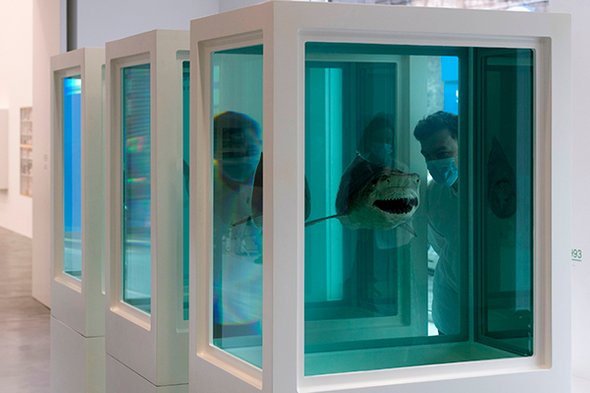 Дэмьен Хёрст, «Физическая невозможность смерти в сознании живущего»