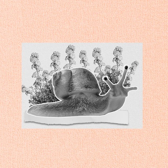 Дочка очень медлительная и часто получает из-за этого двойки. Как это исправить?